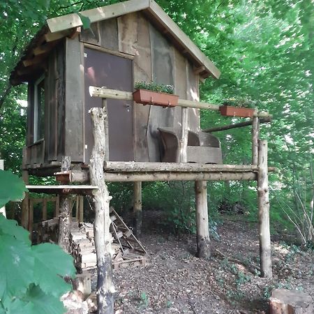 Baumhausnaechte Hotel Ladbergen Luaran gambar